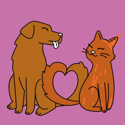 animals_22