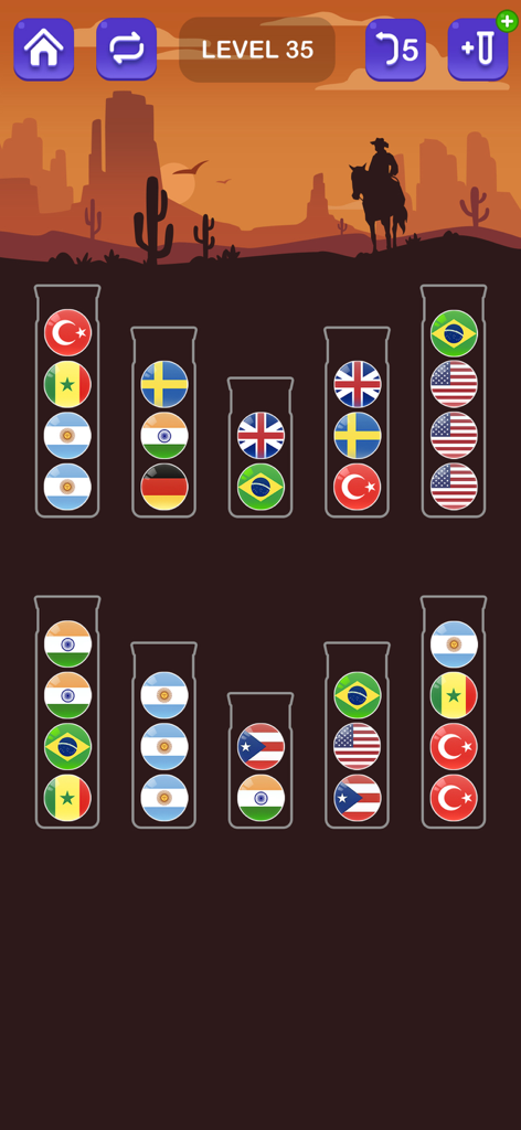 Gameplay screenshot of Ball Sort Color Puzzle Master showing national flag patterned balls in tubes of varying sizes against a desert background