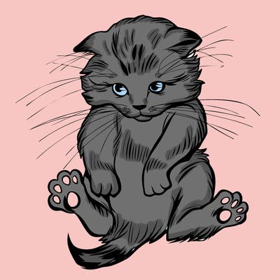 animals_20