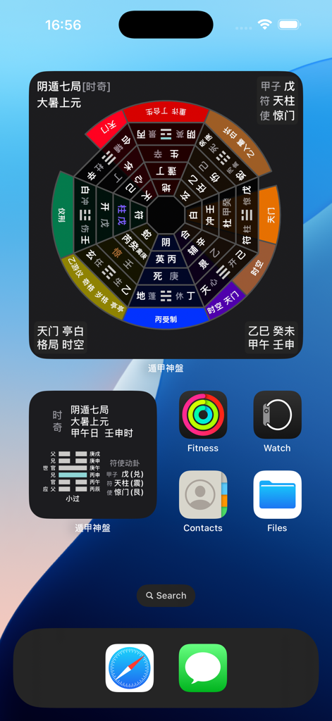 iPhone home screen featuring Dunjia Divine Plate professional metaphysical chart widgets