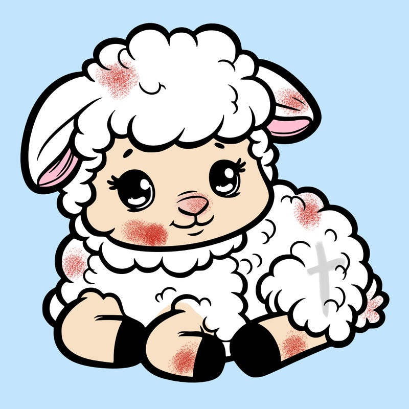 a baby sheep