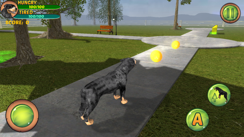Rottweiler Dog Life Simulator - A 3D Rottweiler dog walking through a city park and collecting coins in a simulation game.