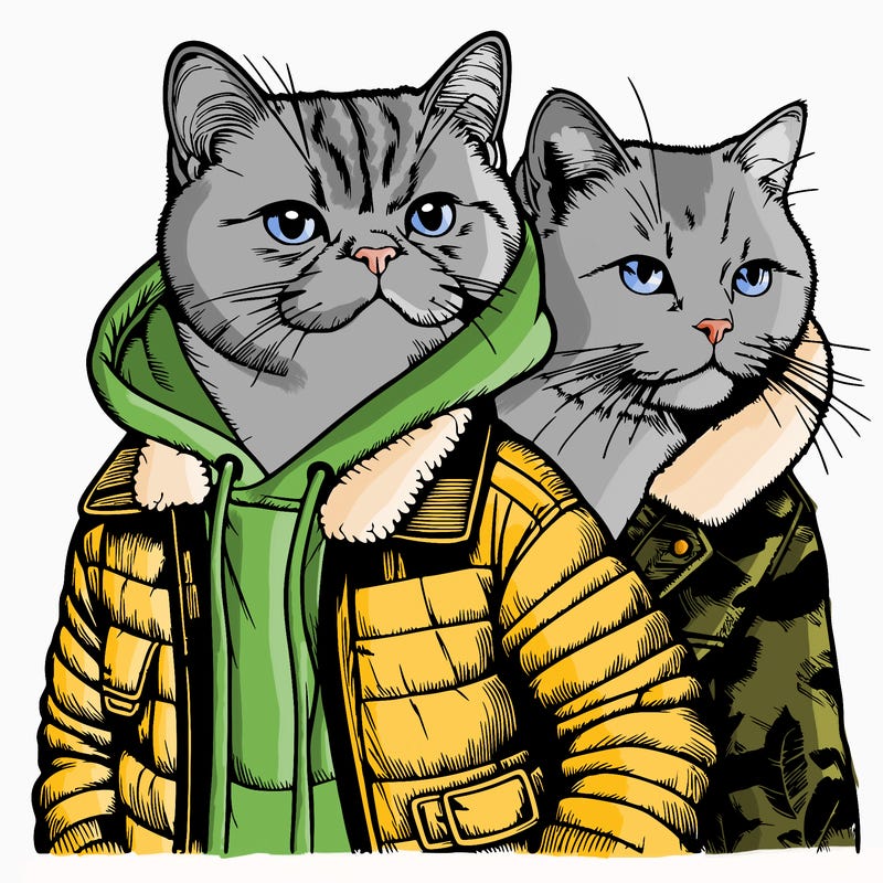 realistic cat with a jacket