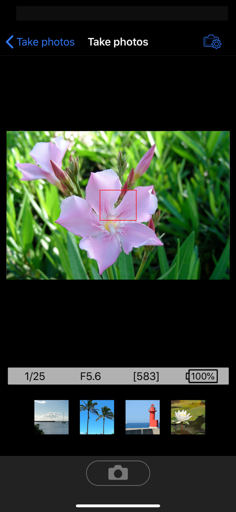 Remote shooting interface of the Nikon Wireless Mobile Utility app displaying a live view of a pink flower