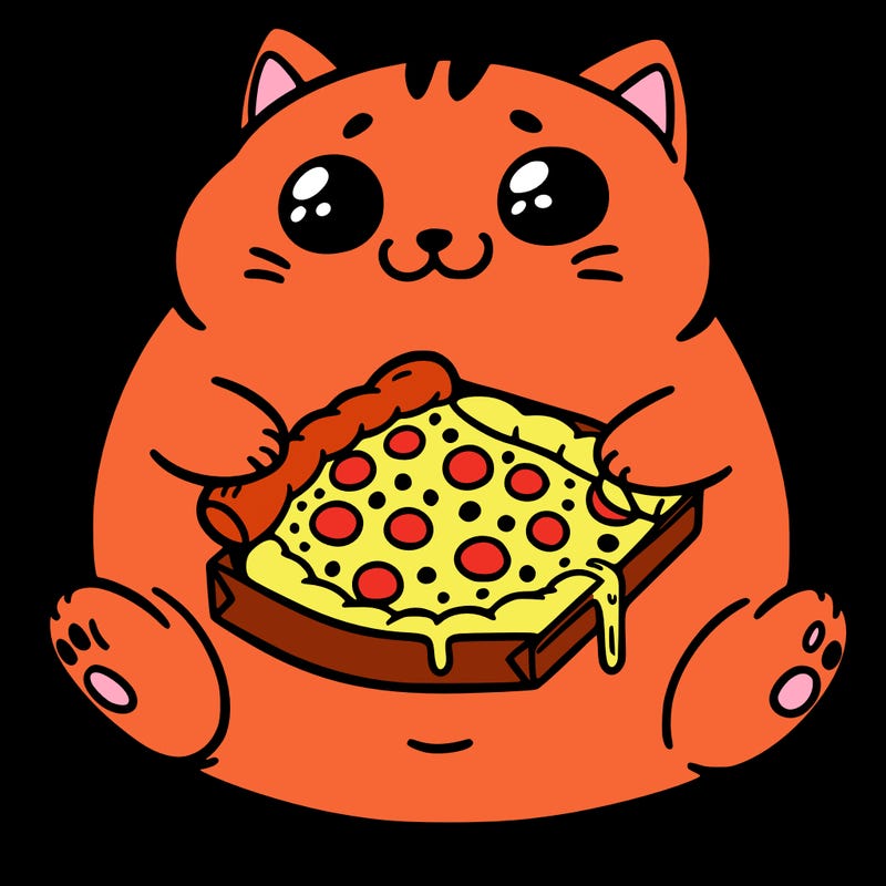 fat cat with pizza