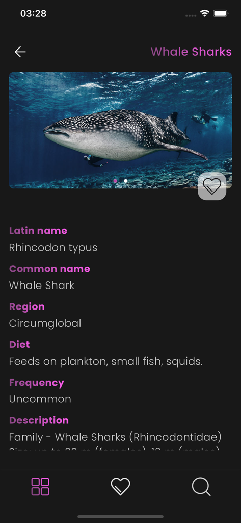 Maldivian Fish Guide - Un profil détaillé d'un requin-baleine dans l'application Maldivian Fish Guide avec des données scientifiques et une photo sous-marine professionnelle.