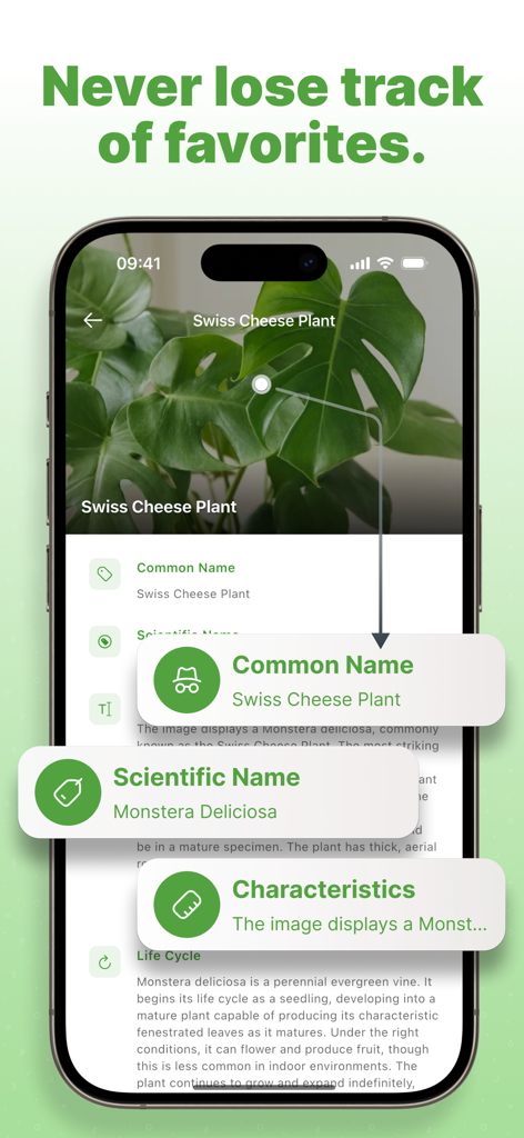 Mobile App-Oberfläche, die detaillierte wissenschaftliche und gebräuchliche Namensinformationen für eine Monstera anzeigt
