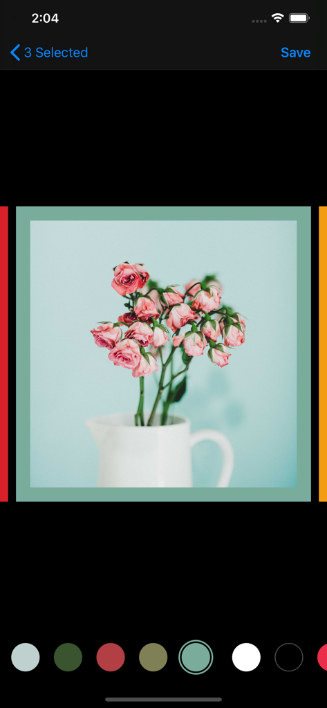 White Border - White Border app interface displaying a photo with a teal border and color selection palette.