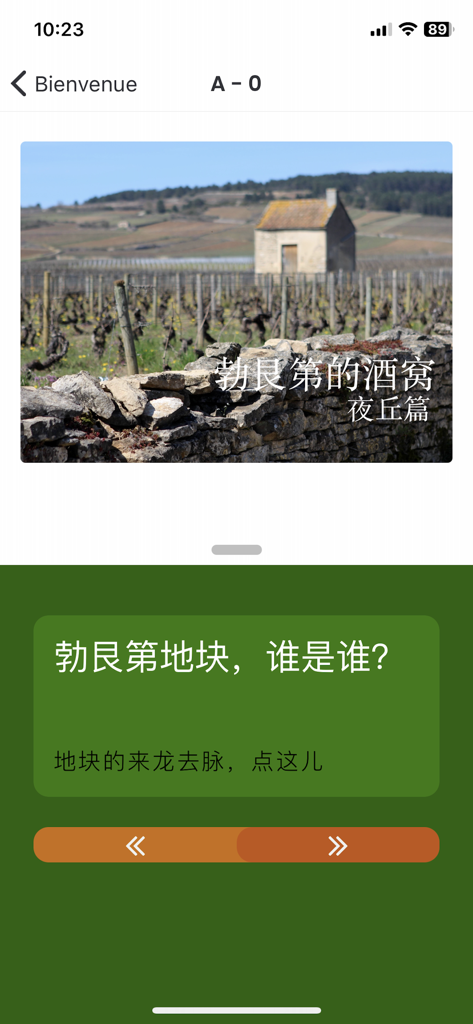 Captura de pantalla de la interfaz de la aplicación Vins de Bourgogne que muestra un viñedo de Borgoña y un cuestionario sobre parcelas de vino en chino.