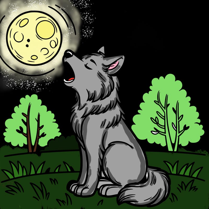 wolf howling at the moon