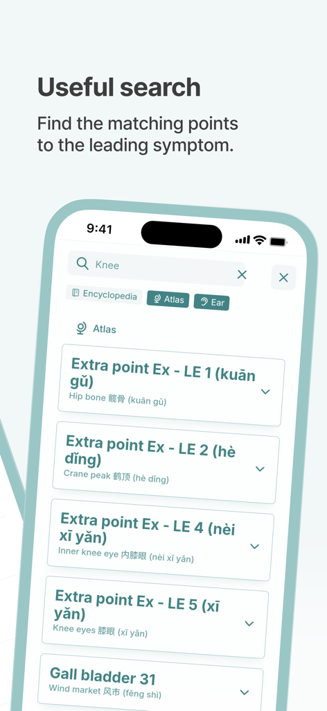AKUDEX Acupuncture - Suchoberfläche der AKUDEX-App, die Akupunkturpunkte für Kniesymptome zeigt