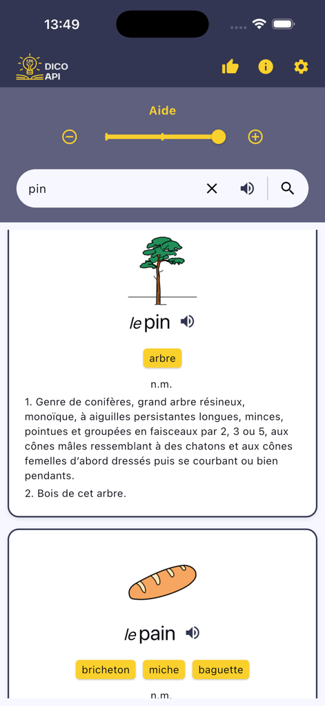 Dico API - Interfaz de la aplicación Dico API que muestra entradas de diccionario ilustradas para palabras fonéticamente similares 'pin' y 'pain' con definiciones y botones de audio.