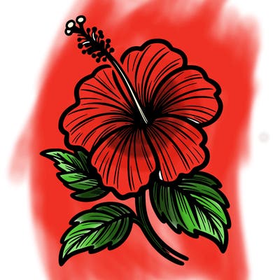 hibiscus