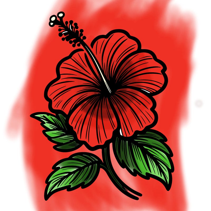 hibiscus