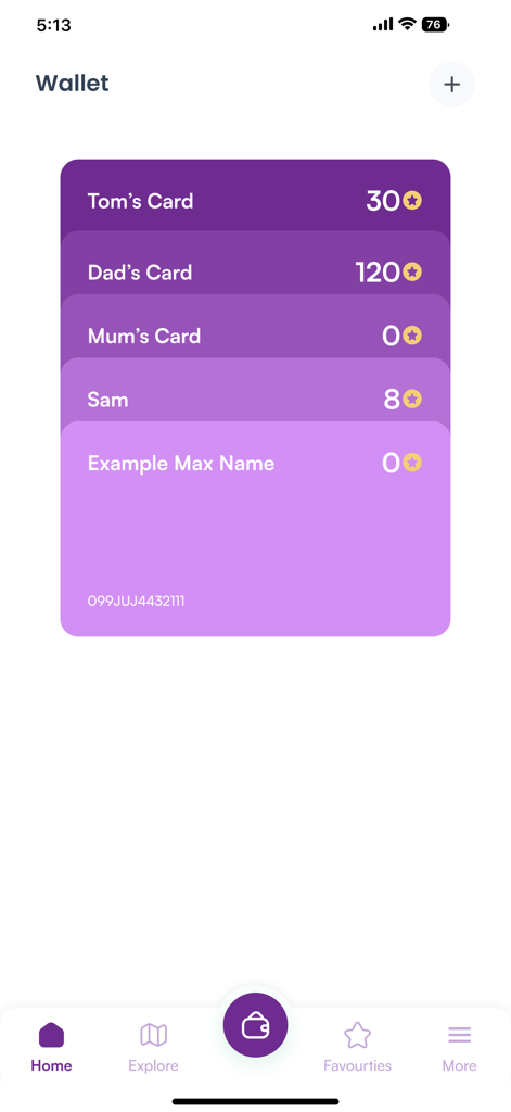 EK Fernandez - Digital wallet screen in the EK Fernandez Fun Pass app showing ride credits for multiple family members