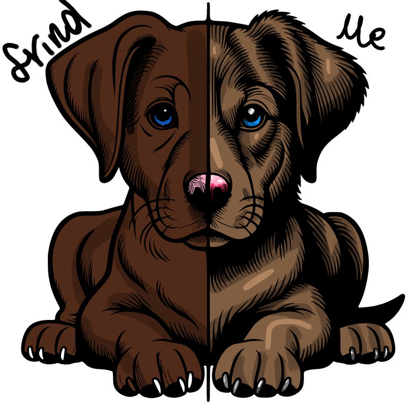 realistic dog split picture