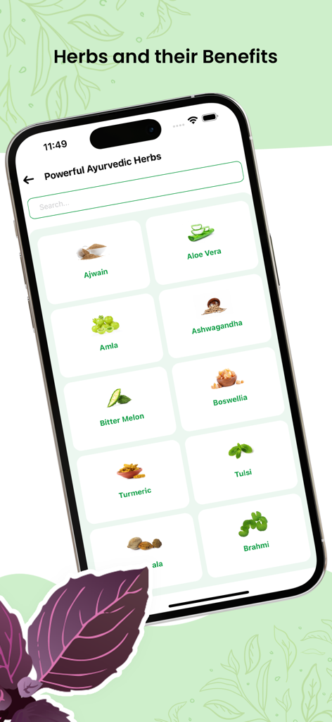 Herbal Natural Care - Ayurveda - アロエベラ、ターメリック、アシュワガンダなどの強力なアーユルヴェーダハーブのリストが表示されたモバイル画面。