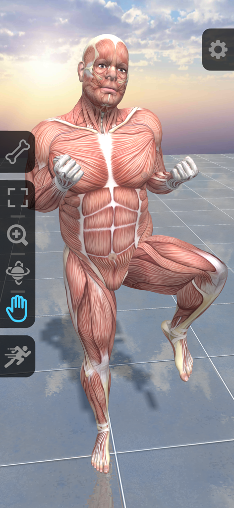 A 3D male muscle anatomy model in a dynamic pose for digital art reference