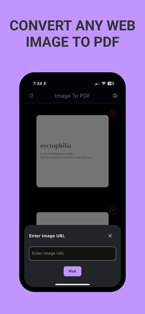 Photo to PDF Converter * - A mobile app interface displaying a feature to convert web images to PDF by entering a URL.