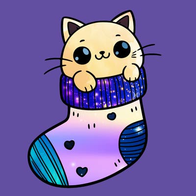 cute cat in a sock
