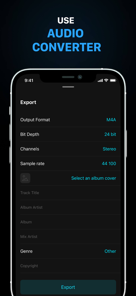 Audio One: Multitrack Editor - Capture d'écran de l'application Audio One montrant les paramètres d'exportation du convertisseur audio et les champs de métadonnées