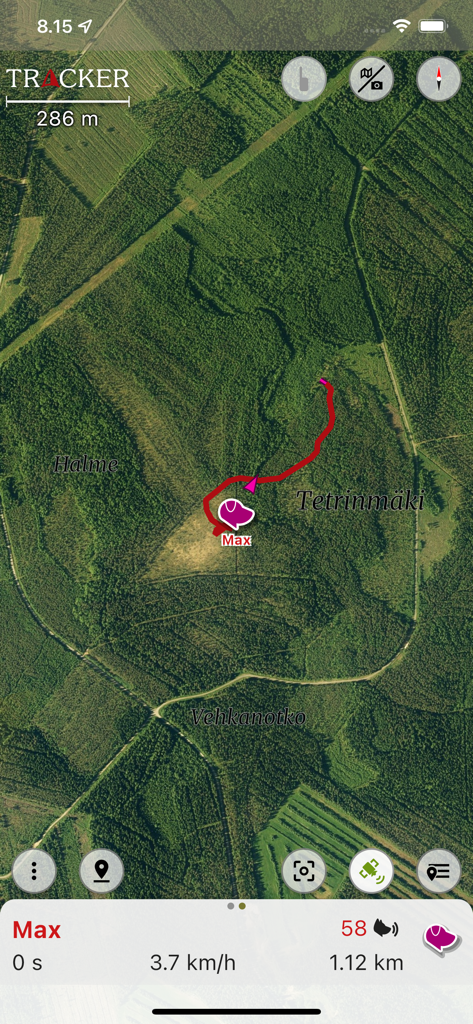 Tracker - for dogs and outdoor - Interfaccia di localizzazione cani GPS in tempo reale che mostra la posizione di un animale domestico su una mappa satellitare