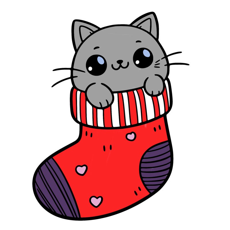 cute cat in a sock