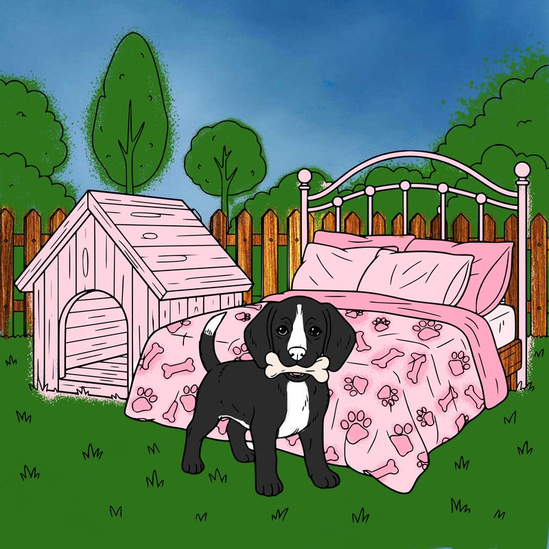 border beagle puppy on a bed outside next to a dog house with a toy in her mouth.