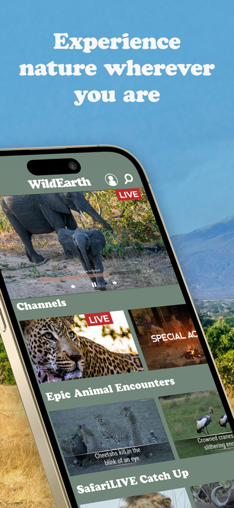 A smartphone screen displaying the WildEarth TV app interface with live footage of elephants and leopards.