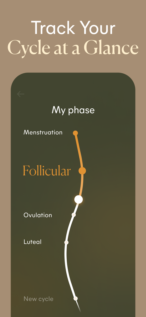 Lively - Period Tracker, Cycle - A minimalist mobile app interface showing the four menstrual cycle phases on a vertical timeline with the Follicular phase highlighted.