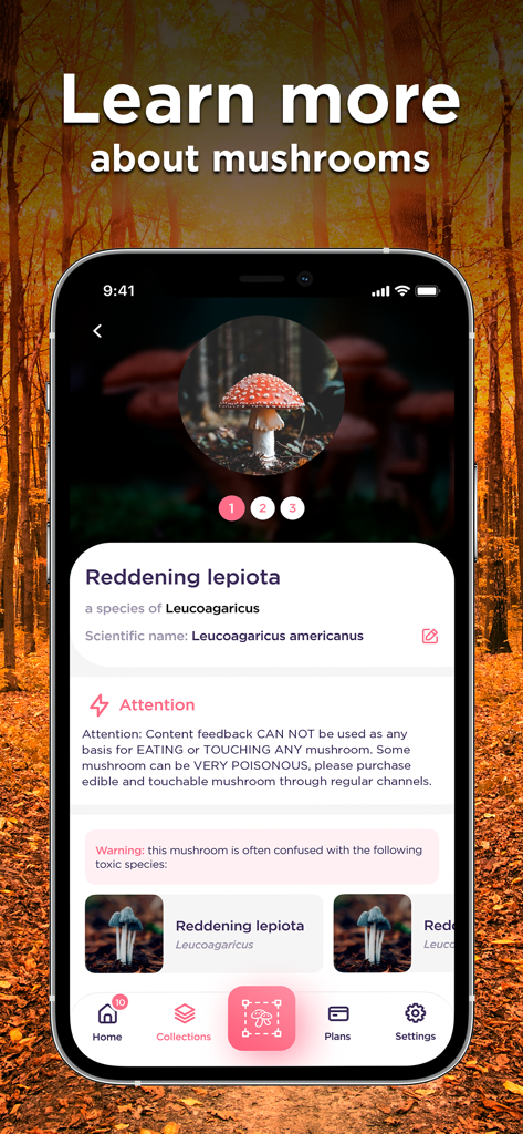 Écran de smartphone affichant les détails d'identification et les informations de sécurité pour un champignon Reddening lepiota dans l'application Identificateur de Champignons.