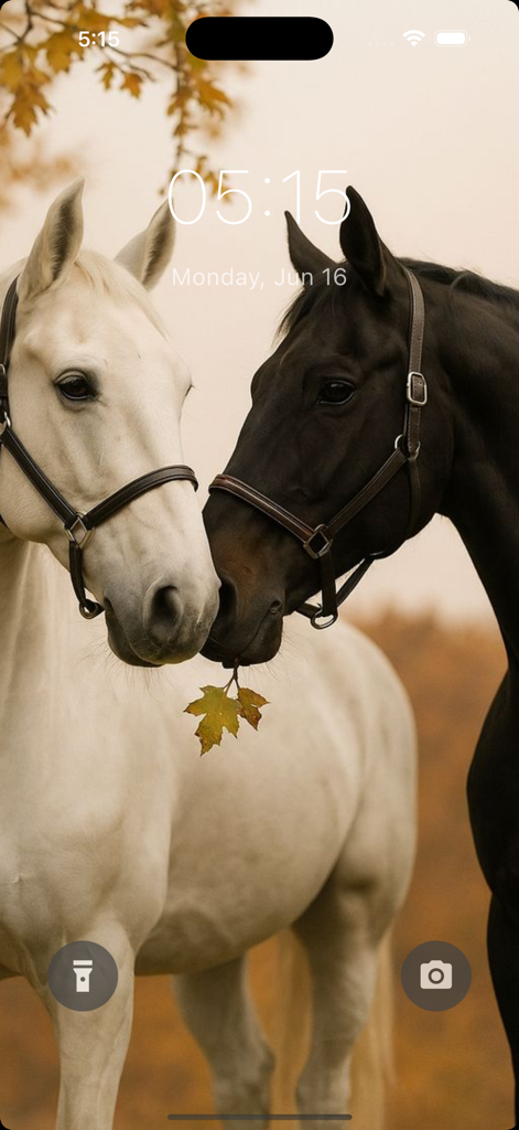 Uno sfondo del telefono di alta qualità che mostra un cavallo nero e uno bianco che si toccano il naso