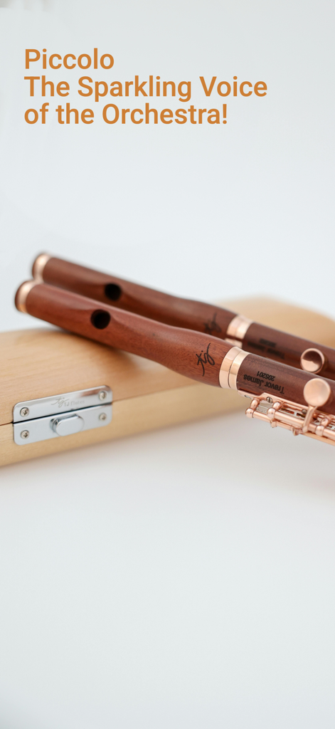 Piccolo Sim - Zwei Holz-Piccolos liegen auf einem Koffer mit dem Text Piccolo Die glitzernde Stimme des Orchesters