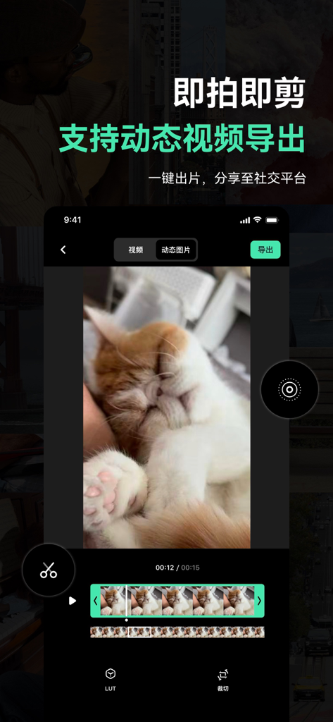 A mobile app screen showing a video editing interface with a cat and professional cinematic tools