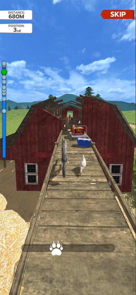 Animal Run: Wild Race - Un loup courant sur un pont en bois à l'intérieur d'une grange rouge dans Animal Run Wild Race.