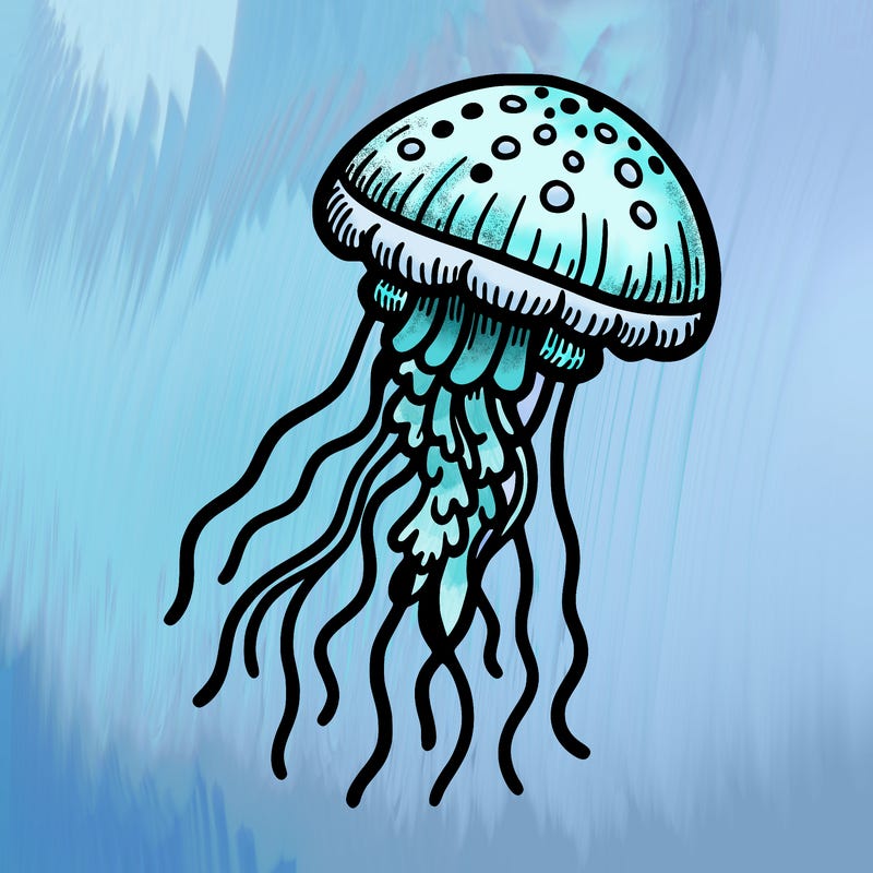 jellyfish
