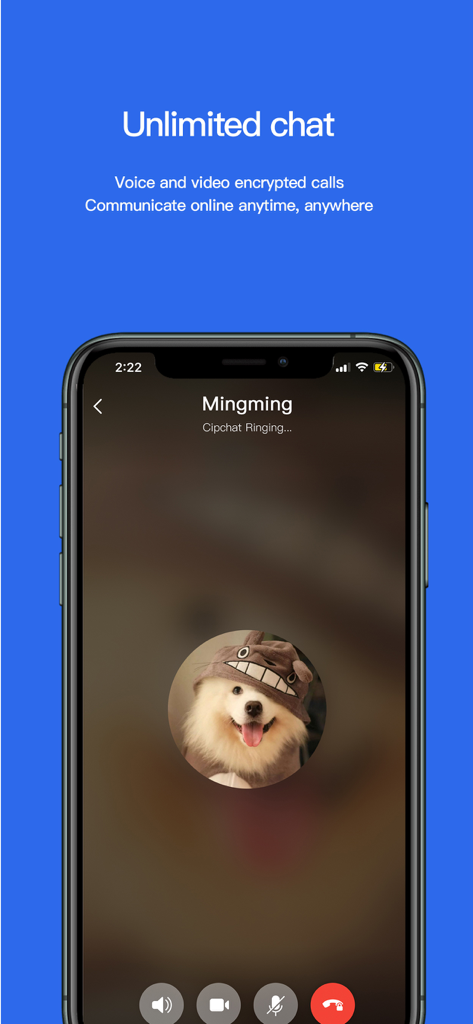 Cipchat - Encrypted Messenger - Interface do aplicativo Cipchat mostrando uma chamada de voz e vídeo criptografada segura em andamento