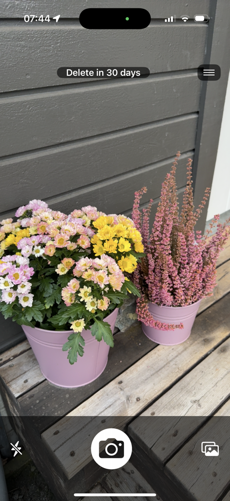 Interface de l'application Work Cam montrant une photo de fleurs avec une minuterie de suppression automatique de trente jours