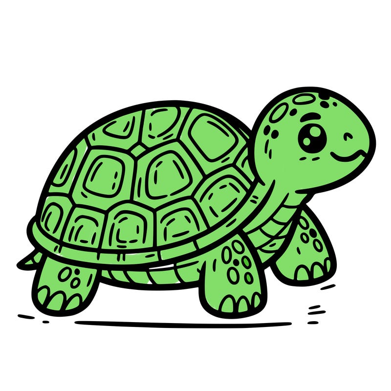 turtle