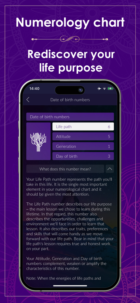 Numerology Rediscover Yourself - Una pantalla de aplicación móvil que muestra un gráfico de numerología con números de camino de vida y fecha de nacimiento.