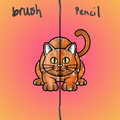 a cat as a split with a line in the middle