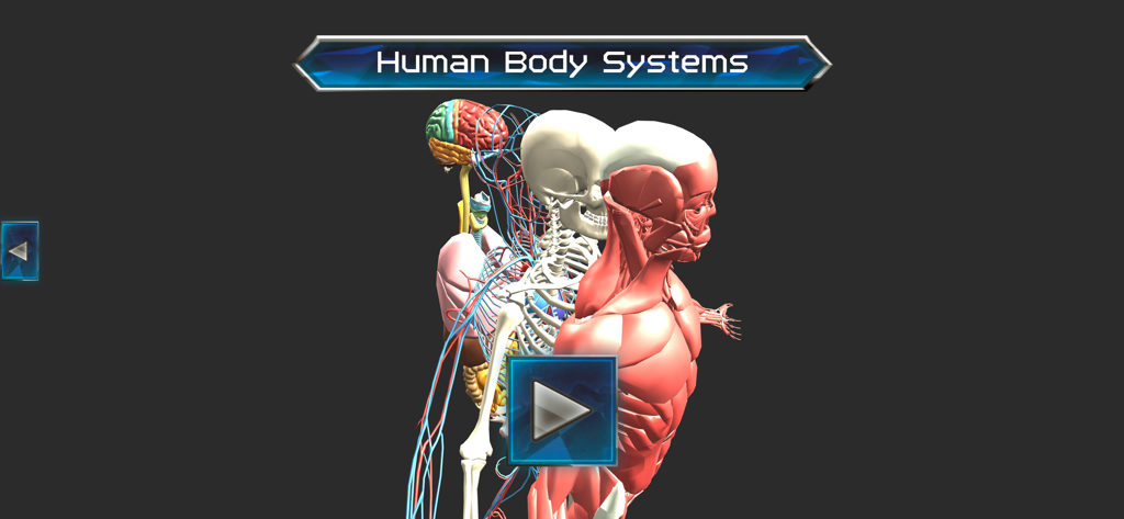 3D visualization of human body systems showing muscle and bone