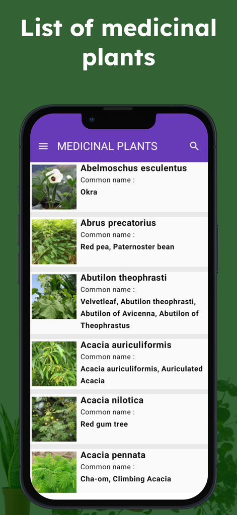 Medicinal herbs identification - Una pantalla de aplicación móvil que muestra una lista de plantas medicinales con nombres científicos y comunes que se puede buscar.