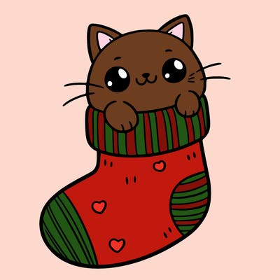 cute cat in a sock