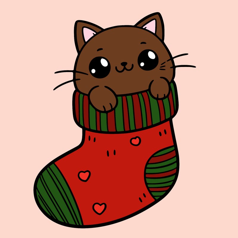 cute cat in a sock