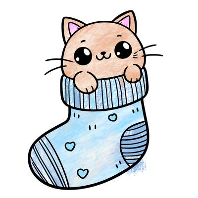 cute cat in a sock