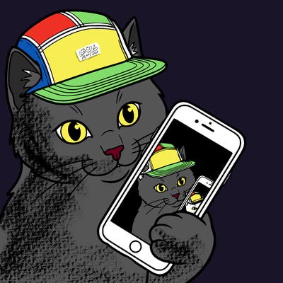 cat with 5 panel making a selfie