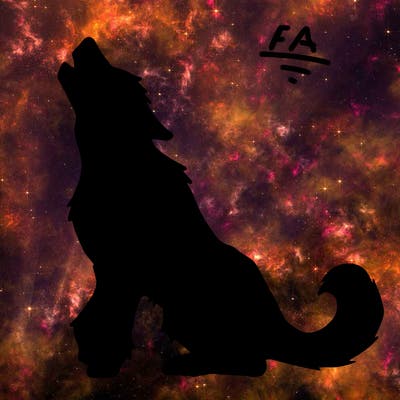 animals_36