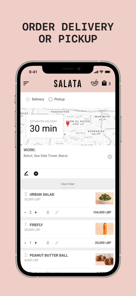 SALATA - SALATAアプリのインターフェースは、配達とピックアップの選択画面を表示しており、配達予定時間は30分、注文アイテムのリストにはUrban SaladとPeanut Butter Ballsが含まれています。