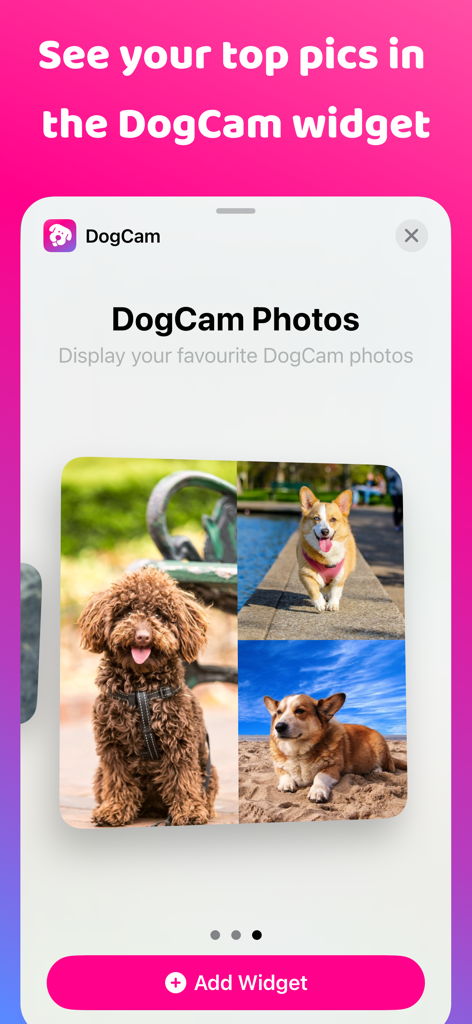 Dog & Pet Translator: DogCam - DogCam App-Oberfläche, die das Homescreen-Widget zur Anzeige von Lieblingshundefotos zeigt